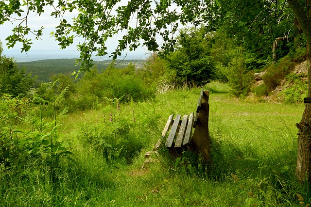 强劲的进攻 强劲的进攻
