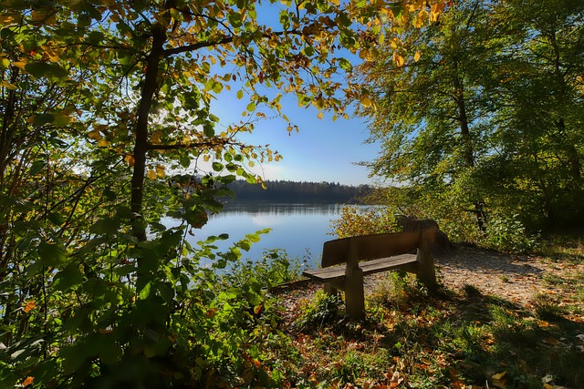 詹姆斯的回 詹姆斯的回