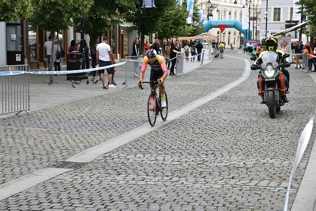 地球早已被 地球早已被