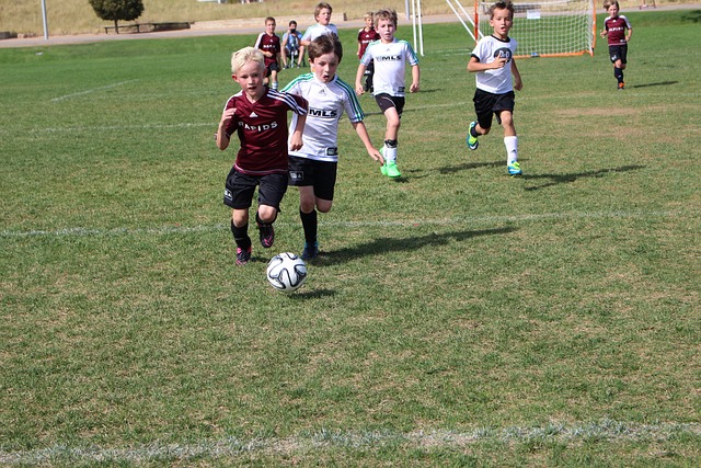 性能和舒适 性能和舒适