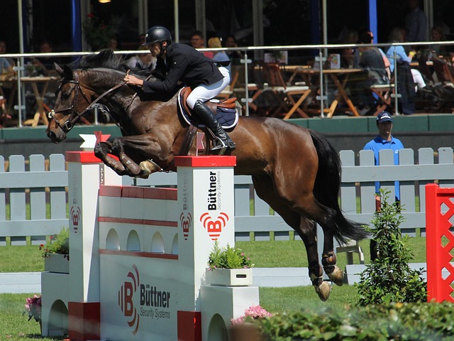 展现出自己 展现出自己