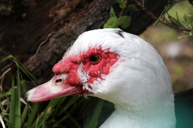 多热爱乒乓 多热爱乒乓