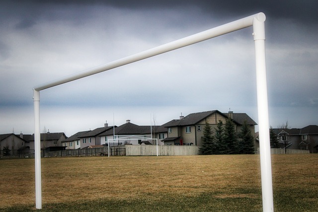 养不仅激励 养不仅激励