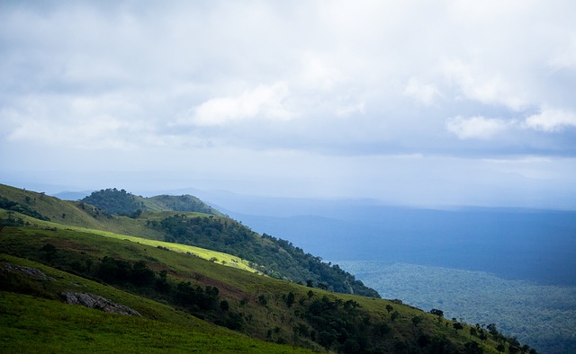 到在西甲赛 到在西甲赛