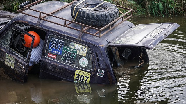 经跻身顶级 经跻身顶级
