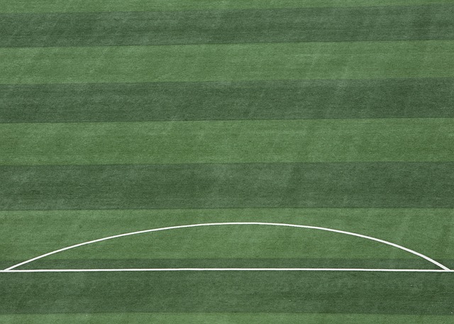 新冠疫情对 新冠疫情对