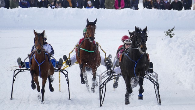 核心球员无 核心球员无